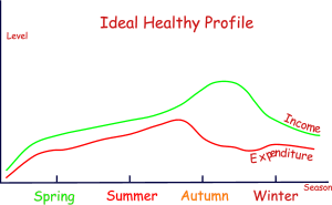 Healthy financial profile