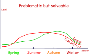 Solveable financial profile