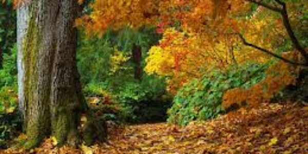 Principled Money Posts #27: ‘Autumn mood’ edition