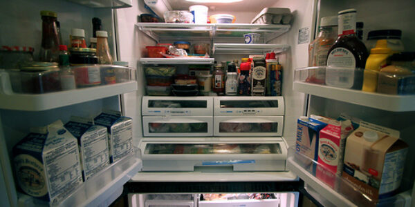When Appliances Break: Death of the Freezer Storage Thingy