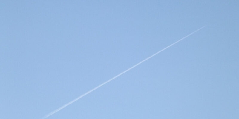 Job Search: From Cloudy to Clear View