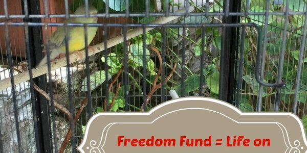 Your Freedom Fund is the One Thing to Stop Life Happening to You