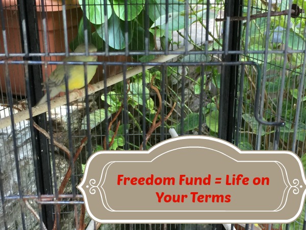 freedom fund