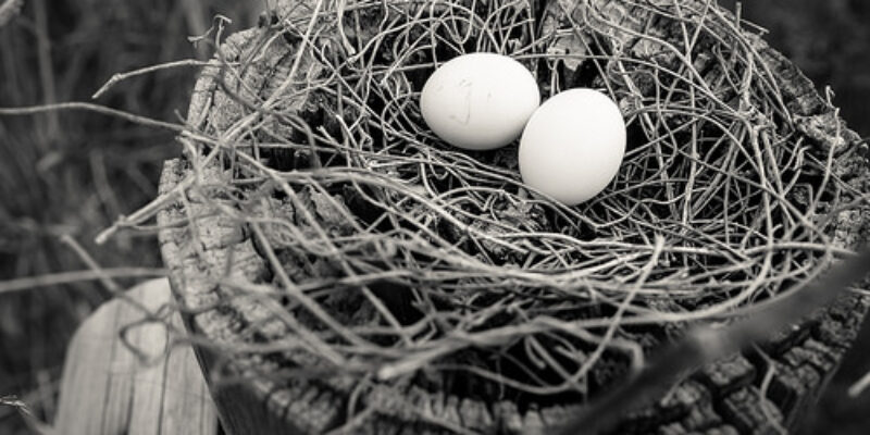 Why ISAs are a Good Investment and How to Select the Best ISA for You