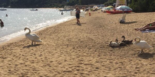 Sharing Sunday 22 July 2018: Is a Holiday in the Sun Worth Getting in Debt?