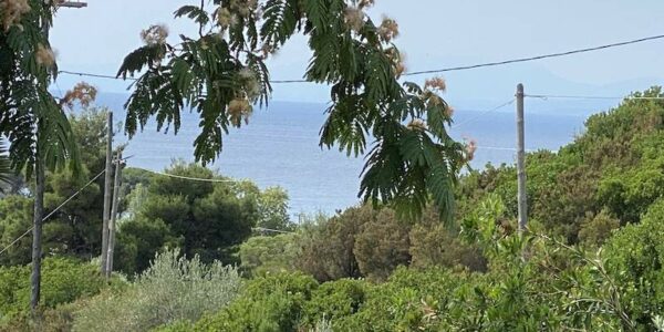 Greetings From Our Favourite Greek Island