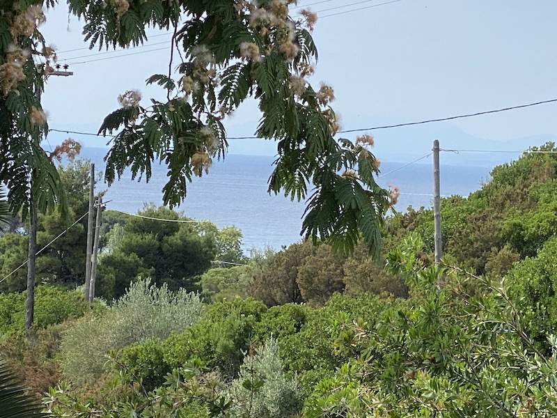 Skiathos view